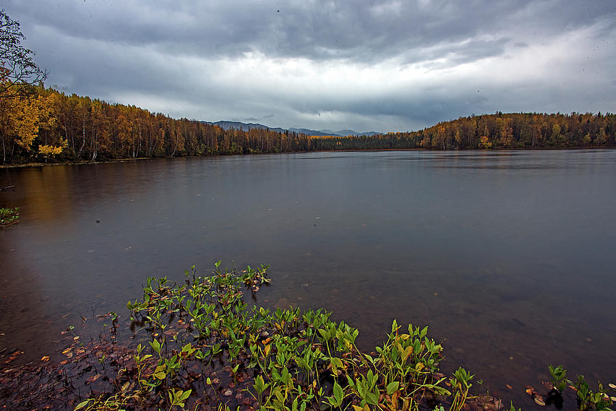 Walden Lake Photograph by Eric Nelson