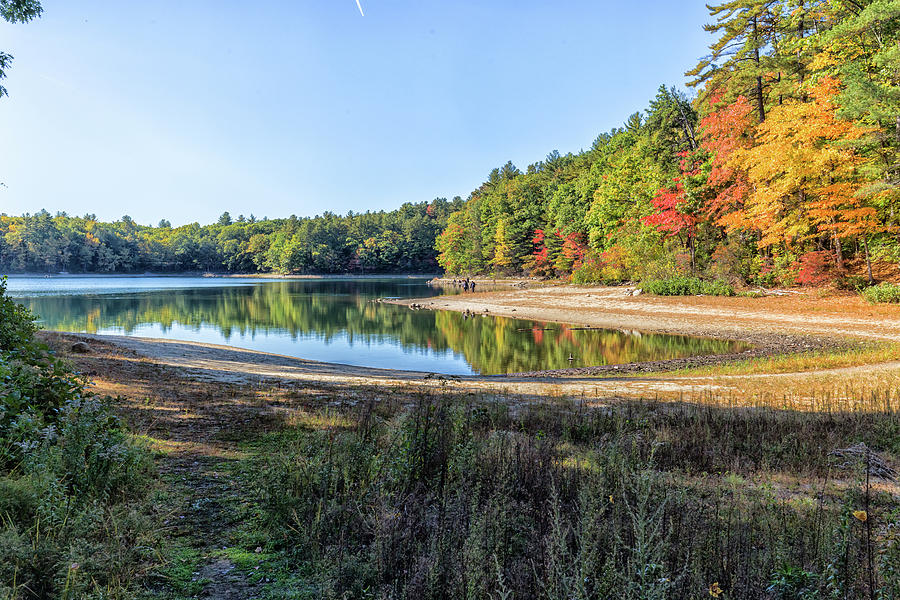 Walden Pond Photograph by Brian MacLean
