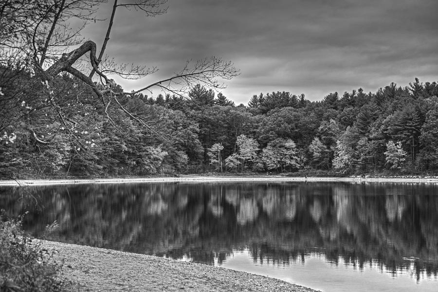 Walden Pond Fall Foliage Concord MA Black and White Photograph by Toby McGuire