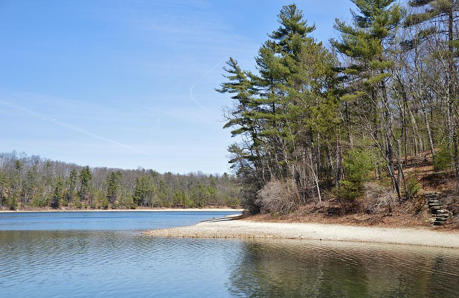 Walden Pond Walk Photograph by Deborah Hochhauser - Fine Art America