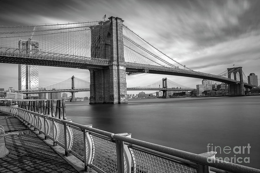 Walk along the East River Photograph by Reynaldo BRIGANTTY