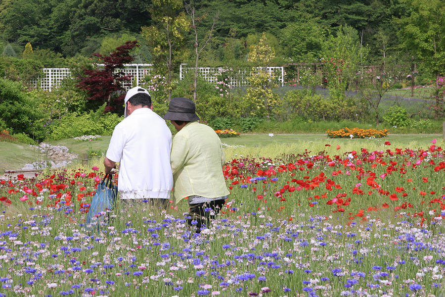 Walk In The Flower Garden Photograph by Masami Iida