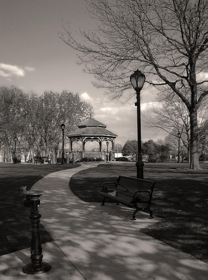 Walk In The Park Photograph by Joanne Coyle