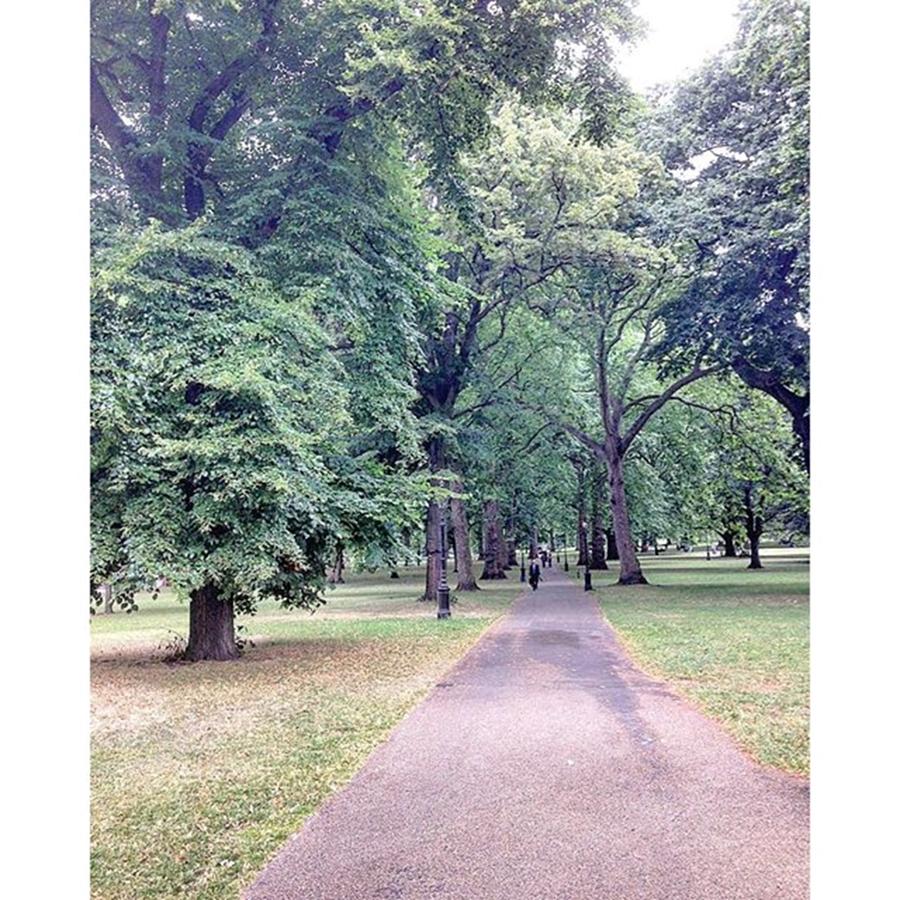 Summer Photograph - Walk In The Trees #london #nature by Emmanuel Varnas