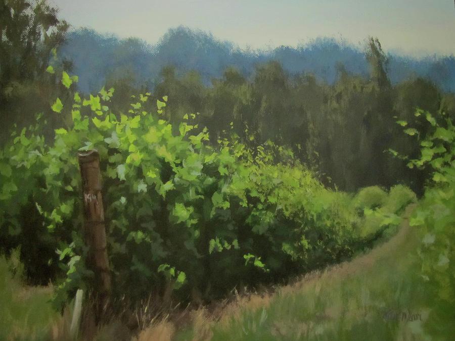 Walk in the Vineyard Painting by Karen Ilari