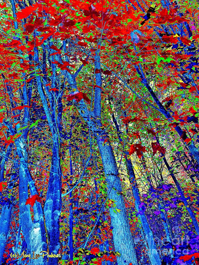 Walk In The Woods   Abstract  Mixed Media by MaryLee Parker