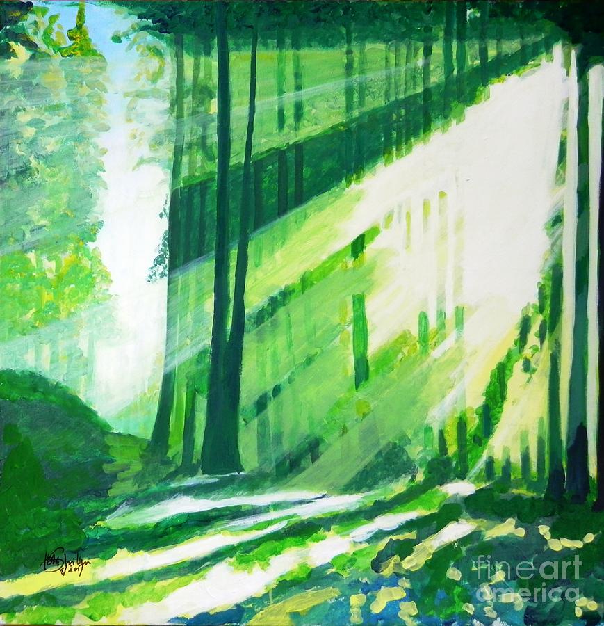 Walk In The Woods by Jolanta Shiloni Walk In The Woods by Jolanta Shiloni