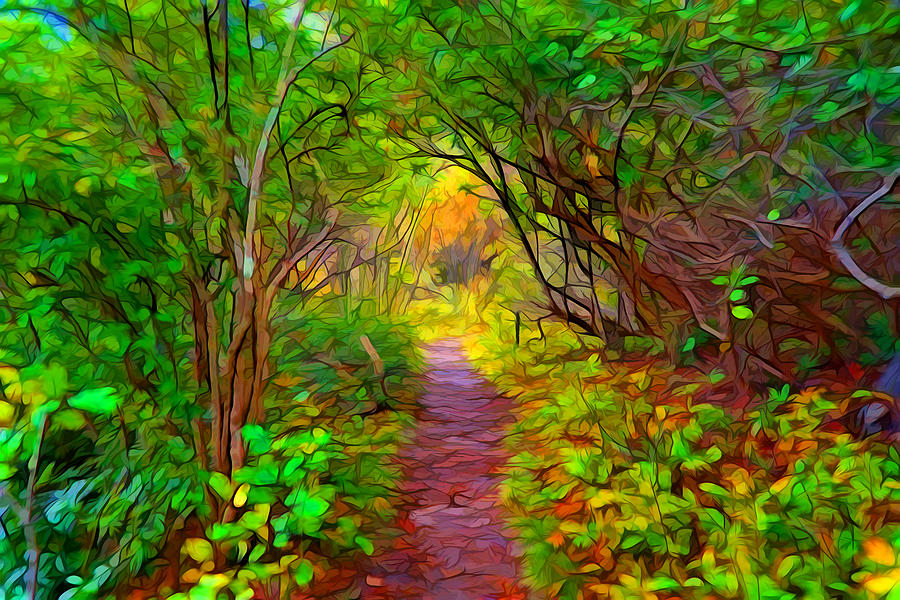 Walk in the woods Painting by Lilia S