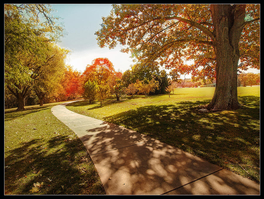 Walk Into Autumn Photograph by John Anderson
