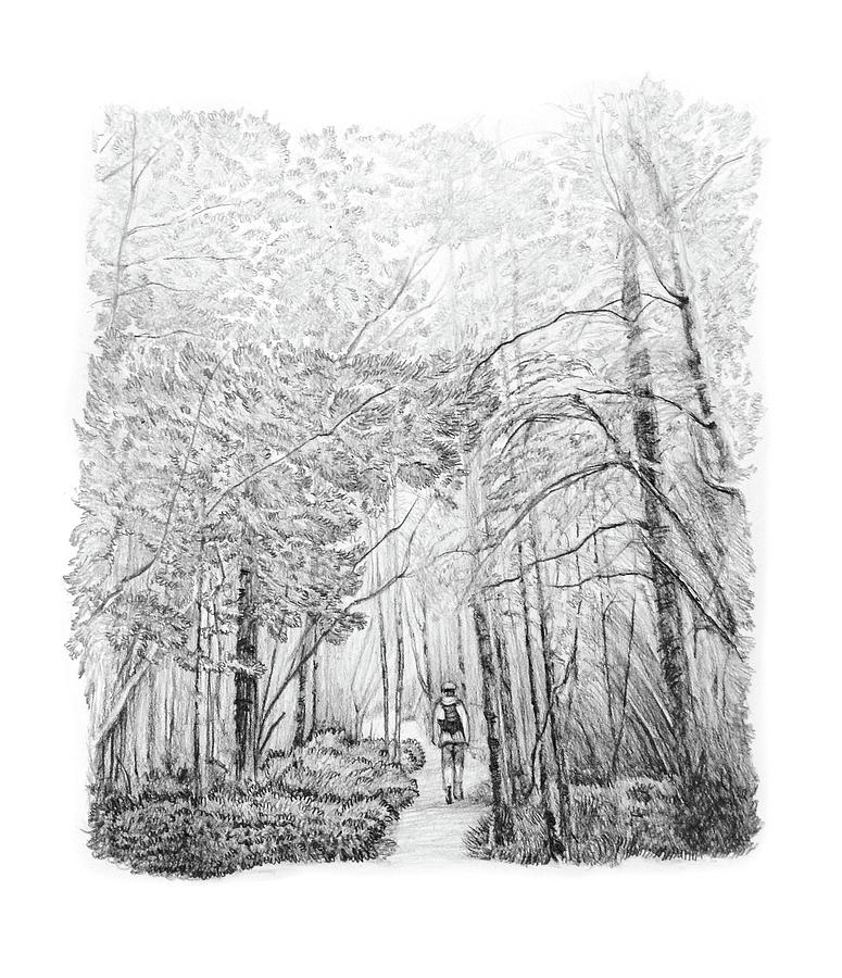 Tree Drawing - Walk Through A Forest by Jacob Yona