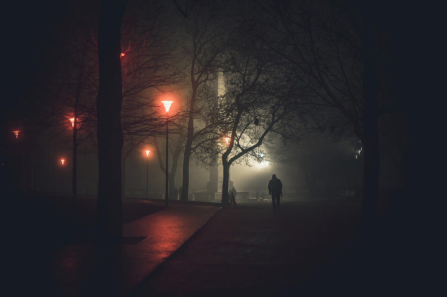 Tree Photograph - Walk to Nowhere. Misty Nights in Brno by Jenny Rainbow