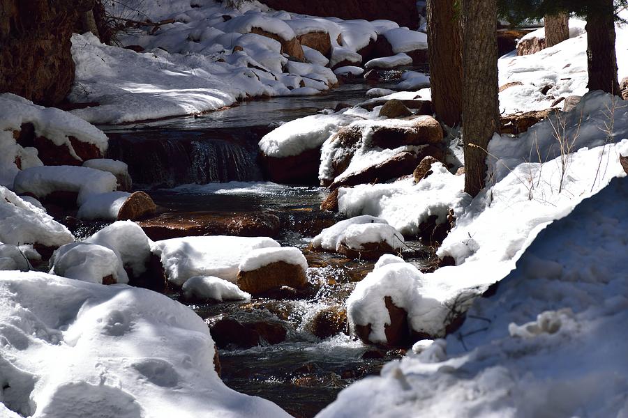 Walk to Seven Falls Photograph by Nicole Crabtree - Pixels