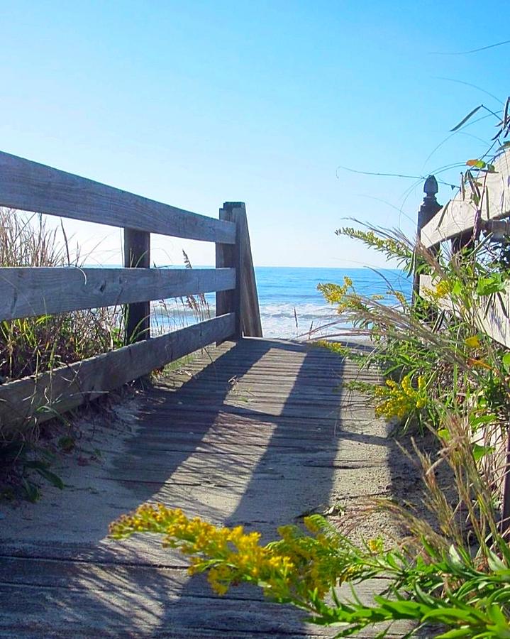 Walk to the Beach Photograph by Betty Buller Whitehead