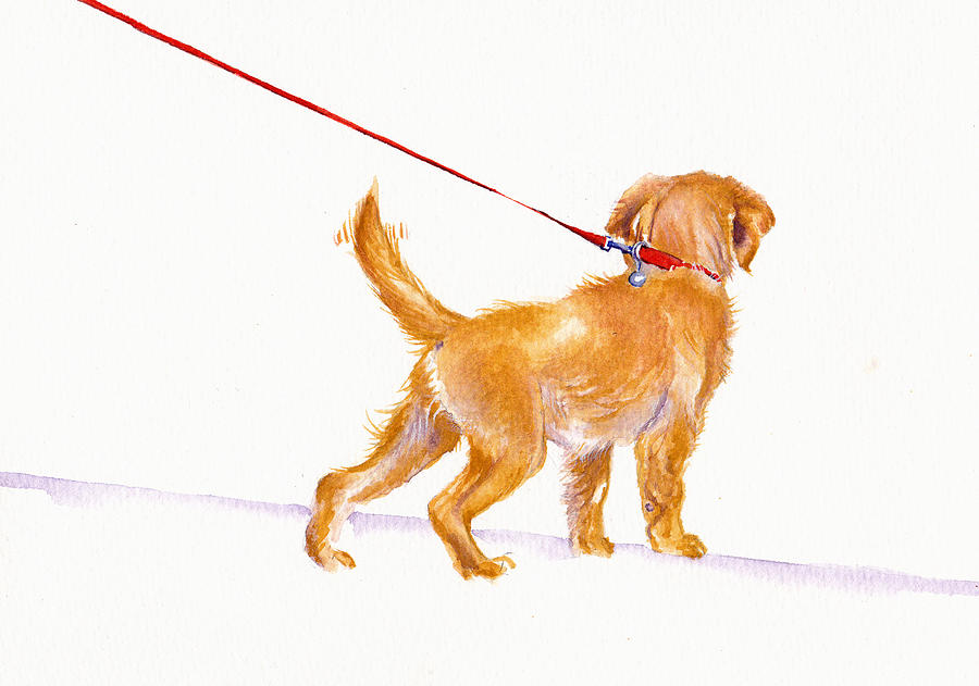 Walkies - Labrador Puppy Painting by Debra Hall