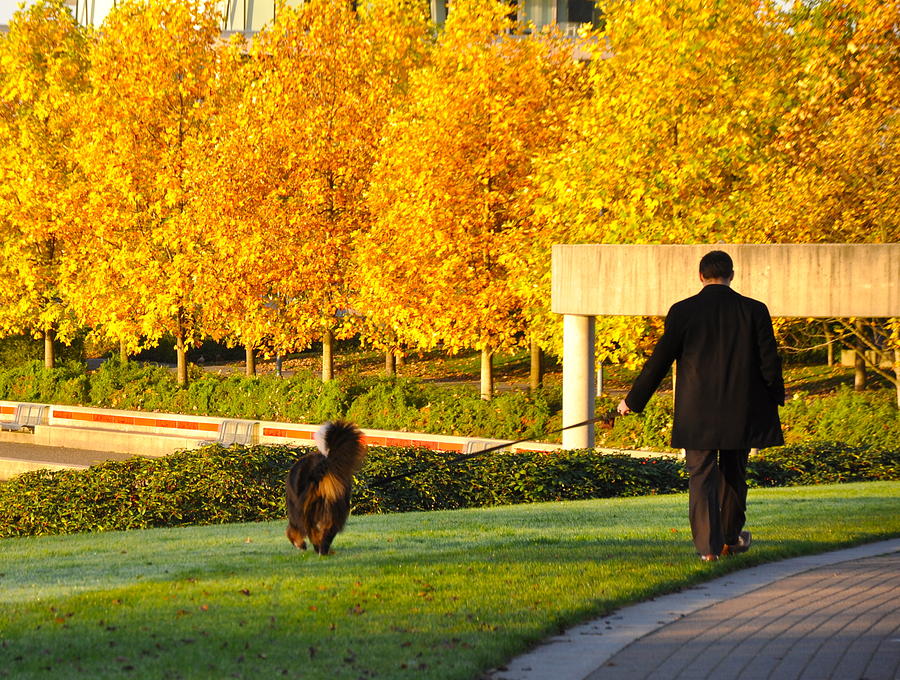Fall Photograph - Walkies in Autumn by Caroline Reyes-Loughrey Fall Photograph - Walkies in Autumn by Caroline Reyes-Loughrey
