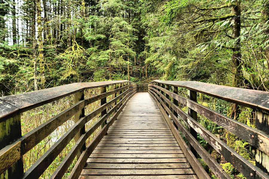 Walking across the wooden bridge Photograph by Jeff Swan