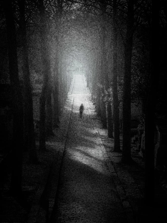 Walking Alone Digital Art by Celso Bressan