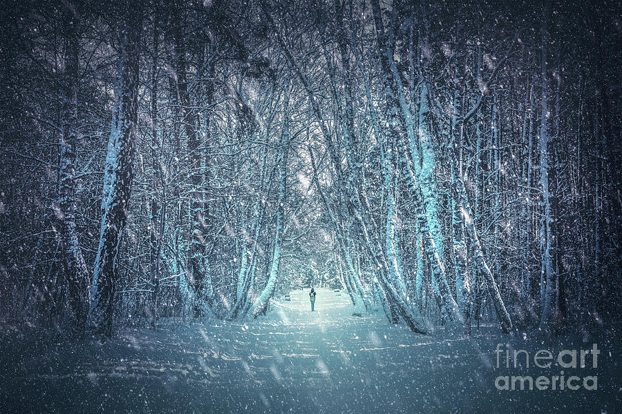 Walking alone in winter forest. Photograph by Michal Bednarek