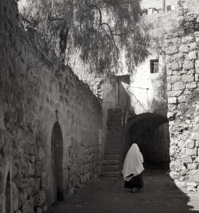 Walking Alone Photograph by Munir Alawi