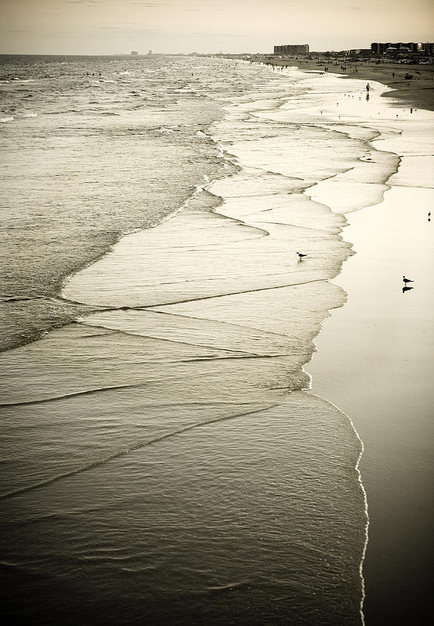 Bird Photograph - Walking Along the Beach at Sunrise by Marilyn Hunt