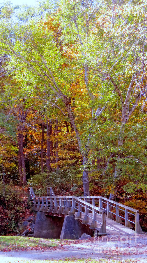 Nature Photograph - Walking Bridge Into Autumn Woods by Kay Novy
