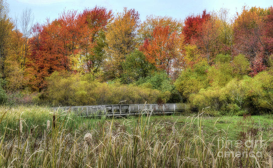 Fall Photograph - Walking Bridge by Reese Lewis