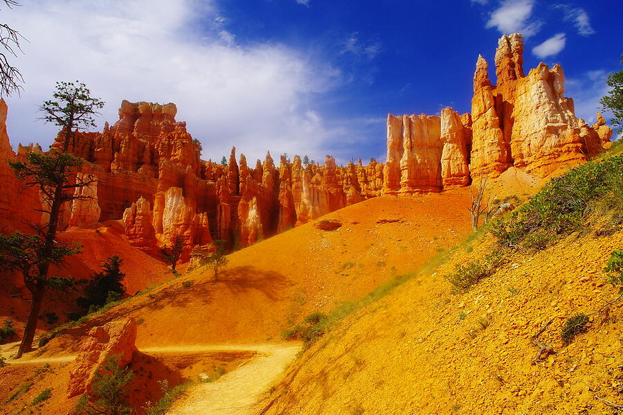 National Parks Photograph - Walking Bryce by Jeff Swan
