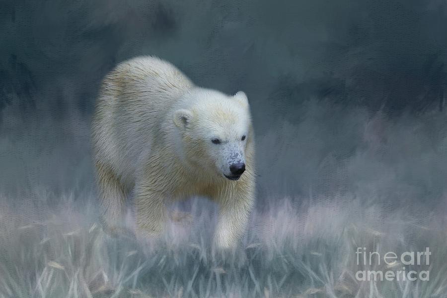Polar Bear Photograph - Walking by Eva Lechner