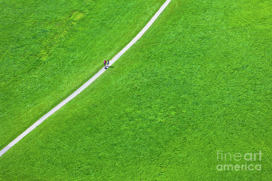 Nature Photograph - Walking footpath in a green field by Dvoevnore Photo