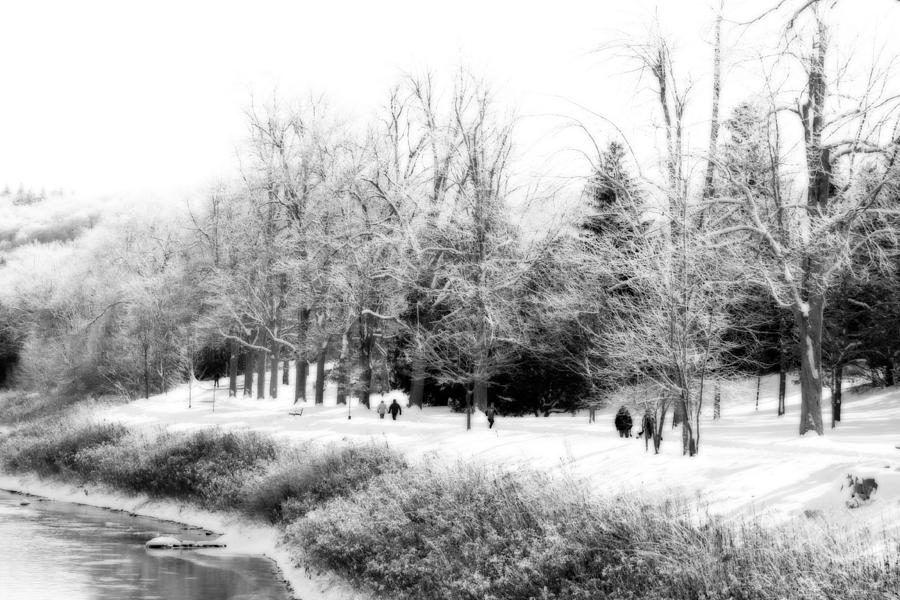 Walking in a Winter Wonderland Photograph by Cathy Beharriell