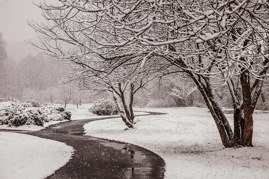 Walking In a Winter Wonderland Photograph by Debra and Dave Vanderlaan