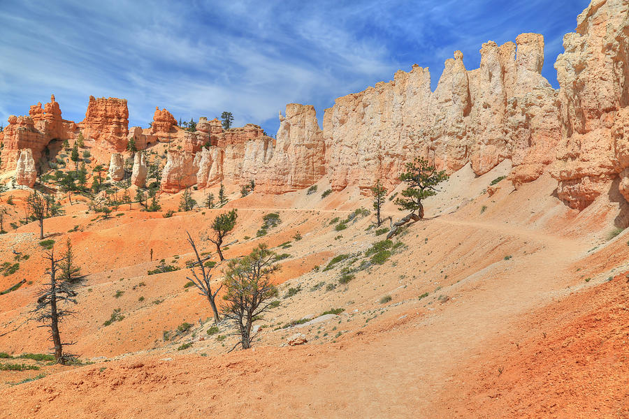 Walking In Hoodoo Land Photograph by Donna Kennedy