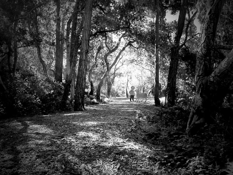 Walking In The Enchanted Forest B And W Photograph by Joyce Dickens