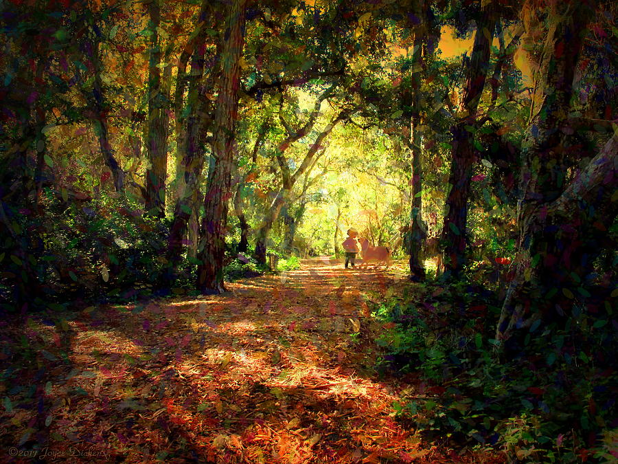 Walking In The Enchanted Forest Impressionism Photograph by Joyce Dickens