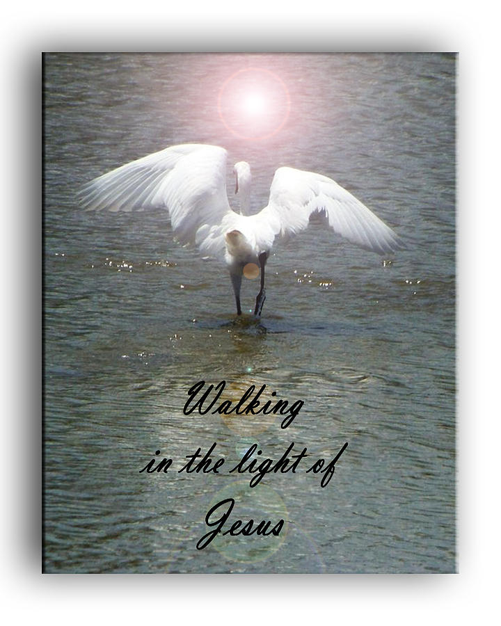 Nature Photograph - Walking In The Light Of Jesus by Leticia Latocki