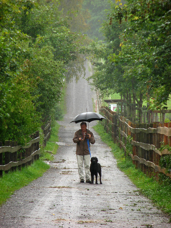 Dog Photograph - Walking in the Rain by Andrea Arnold