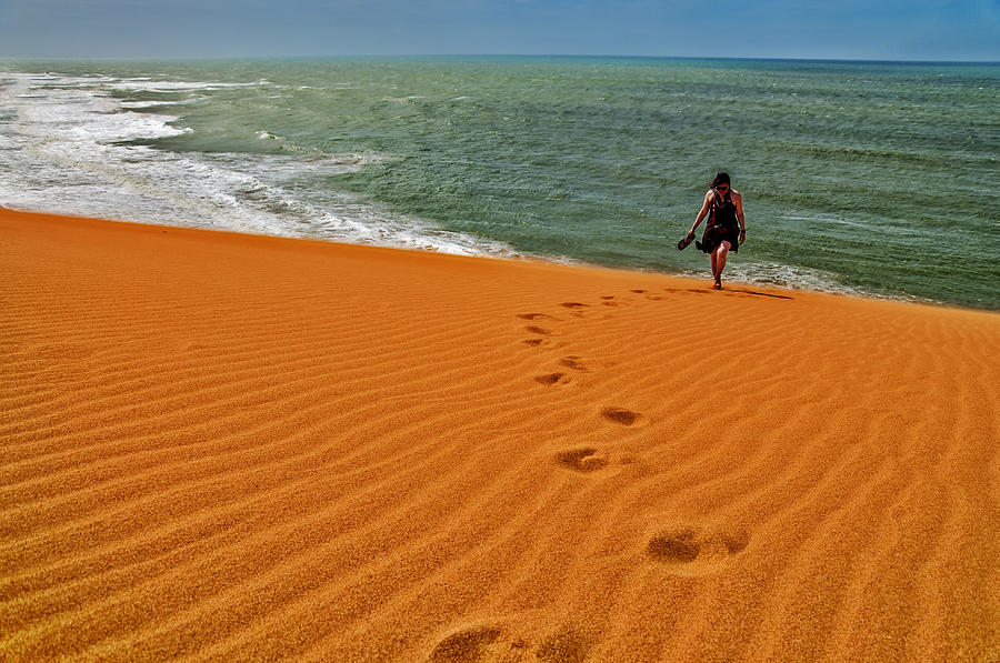 Nature Photograph - Walking in the Sand by Jess Kraft