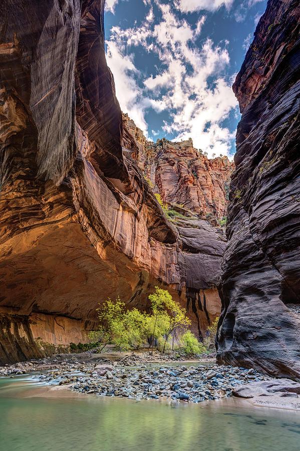 Walking In The Virgin River Of Zion National Park Photograph