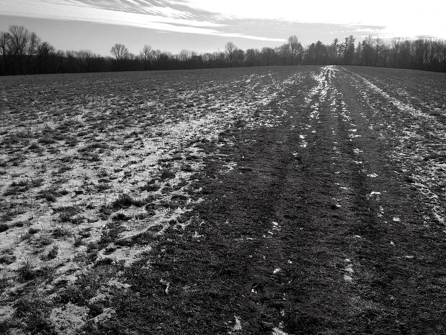 Walking in the Winter Field Photograph by Polly Castor