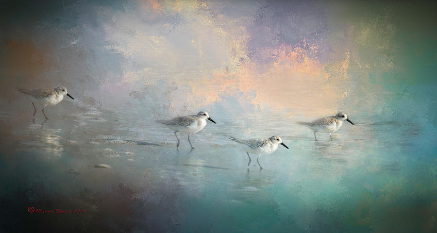 Bird Digital Art - Walking Into The Sunset by Marvin Spates