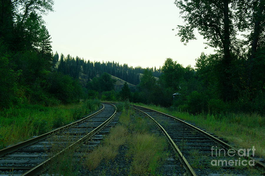 Transportation Photograph - Walking old tracks by Jeff Swan