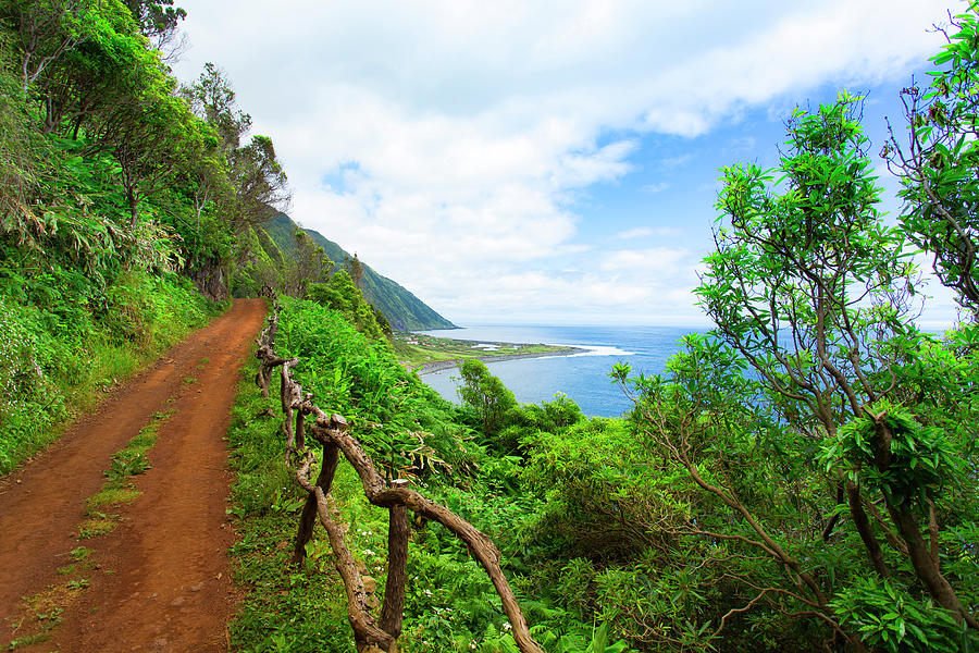 Walking on Planet Earth Photograph by Edgar Laureano