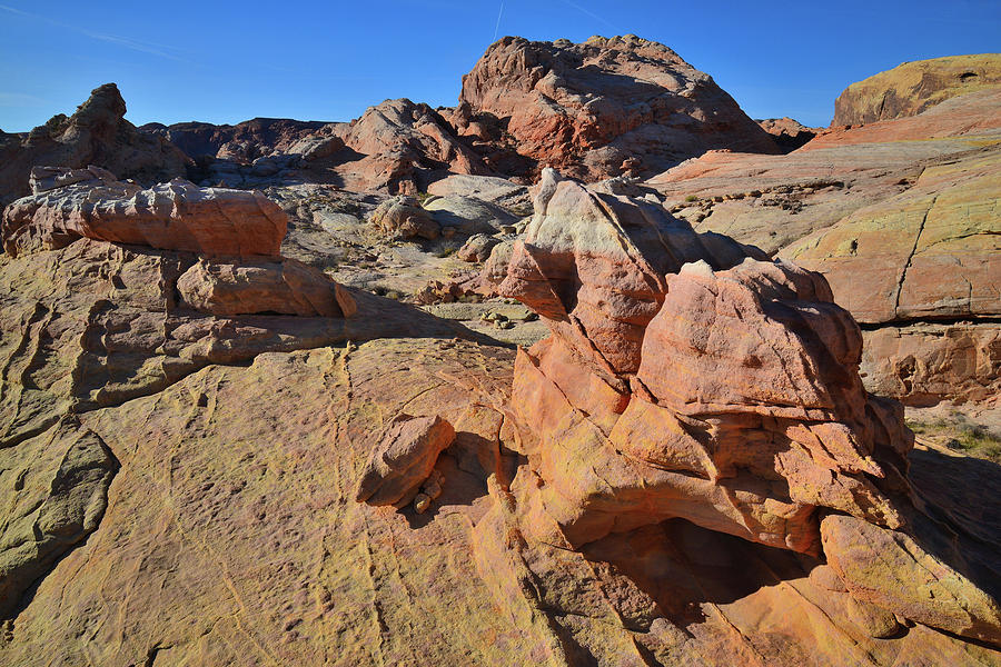 Walking On Top of Valley of Fire Photograph by Ray Mathis