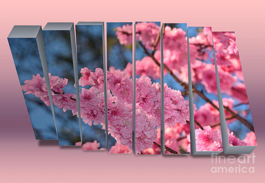 Walking Spring Blossoms - Panel Art by Kaye Menner Photograph by Kaye Menner