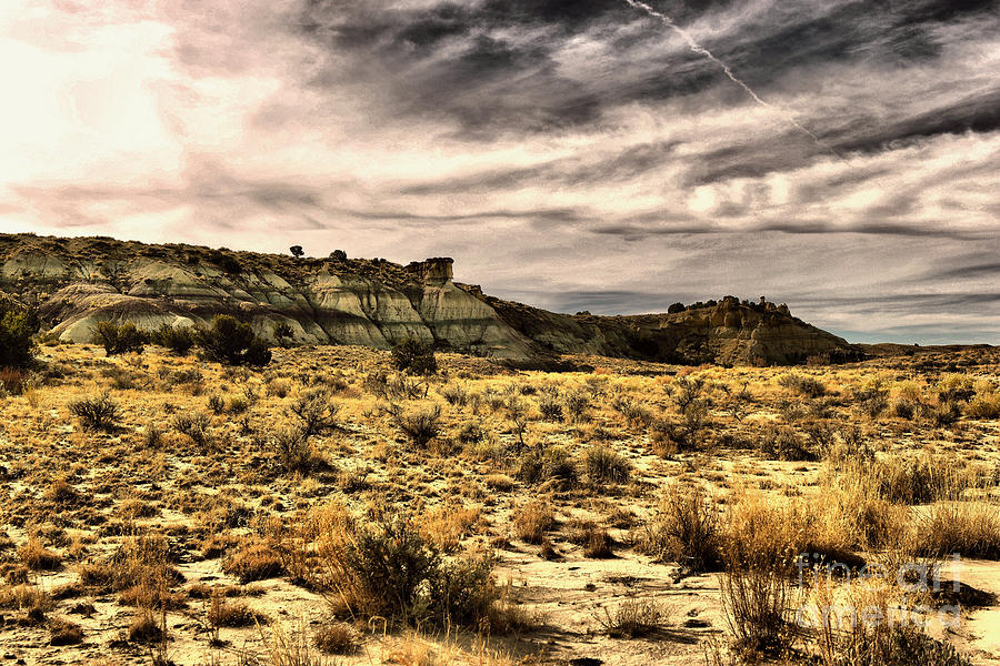 Walking the desert Photograph by Jeff Swan