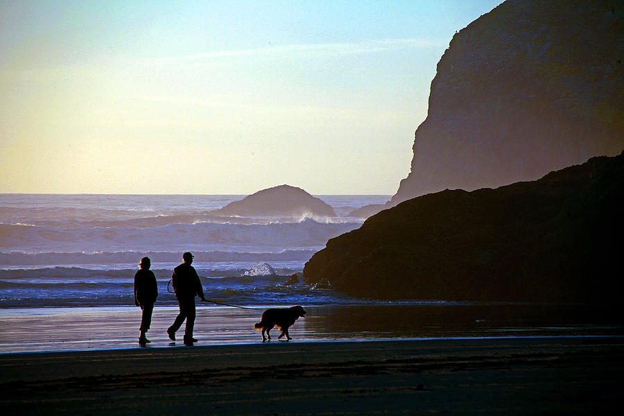 Beach Photograph - Walking the Dog 2 by Mike Flynn