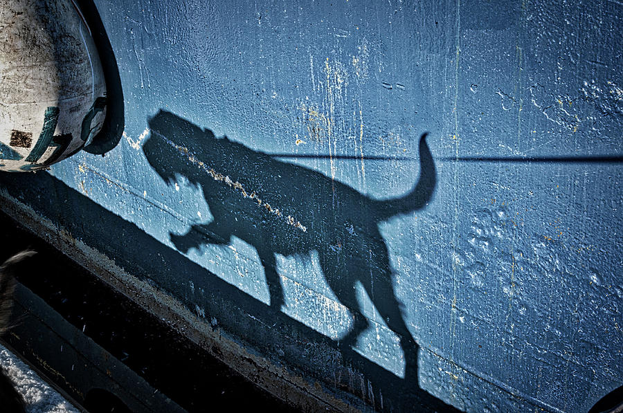 Walking the Dog in Blue Photograph by Cathy Mahnke
