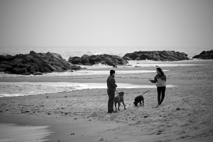 Walking the Dogs BW Photograph by Travis Rogers