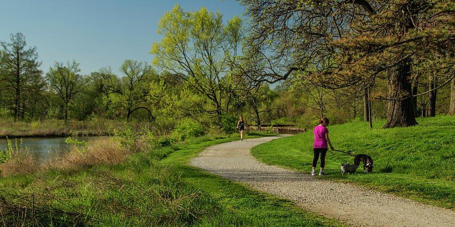 Walking the Savanna Boardwalk trail in Forest Park Photograph by Garry McMichael