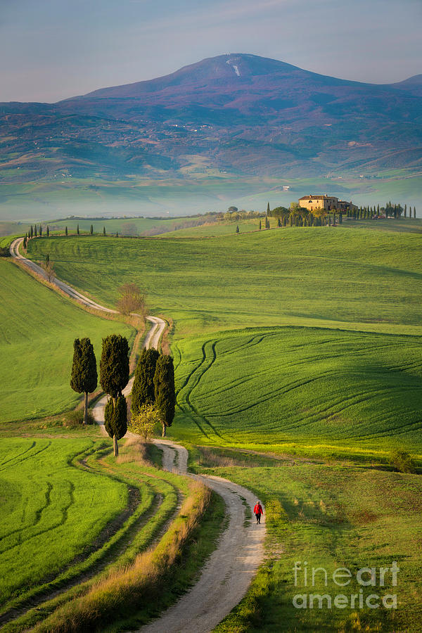 Walking the Tuscan Road Photograph by Brian Jannsen